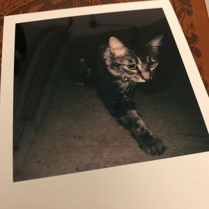 Meet your Posher, Len